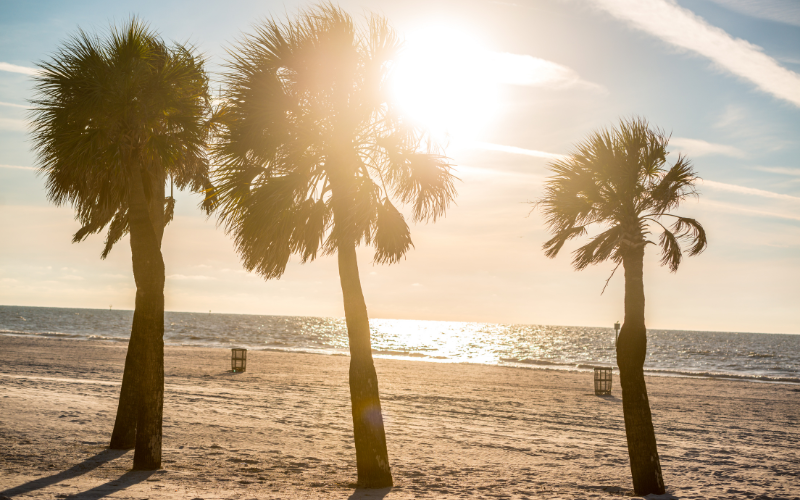 Florida Sunshine