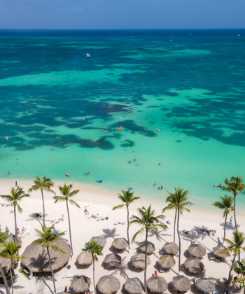 Palm beach